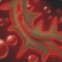 hemorragie.png