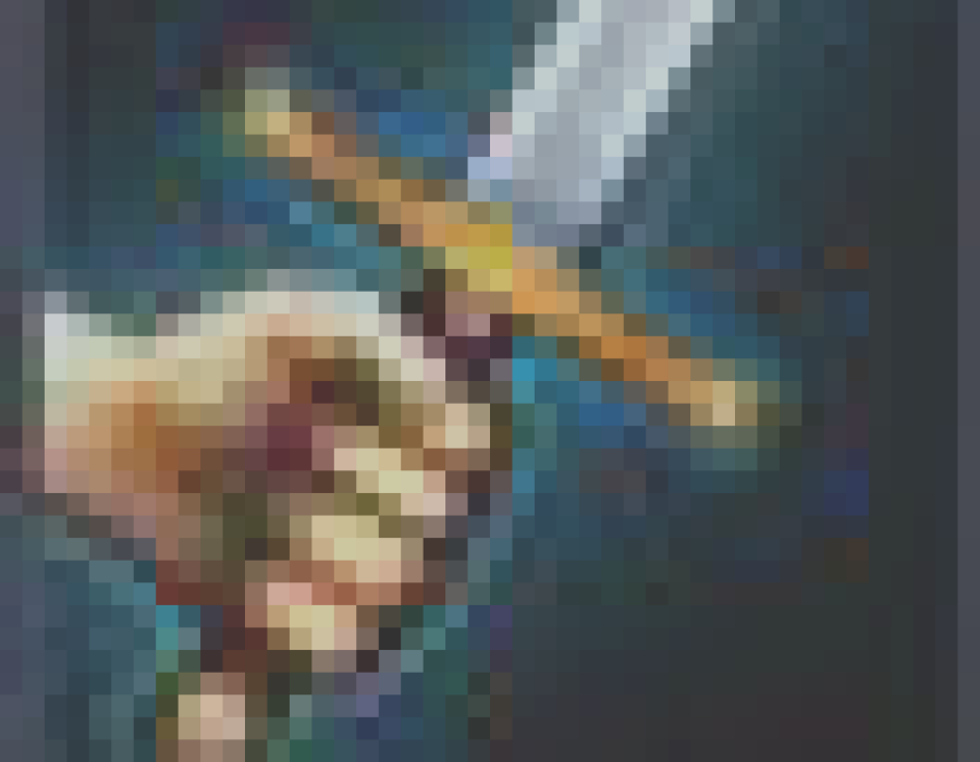 02.png