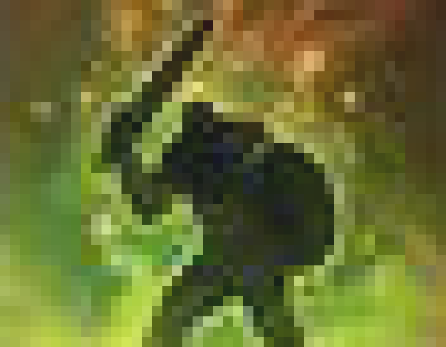 05.png